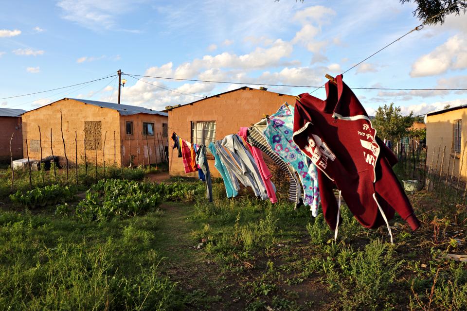 Featured image for Preserving Culture Through Code